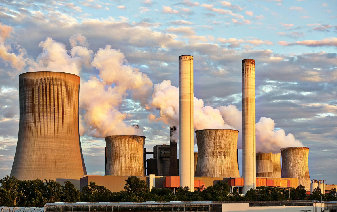 HCM City Urged to Develop Carbon Credit Market to Cut Greenhouse Gas Emissions hình ảnh 13