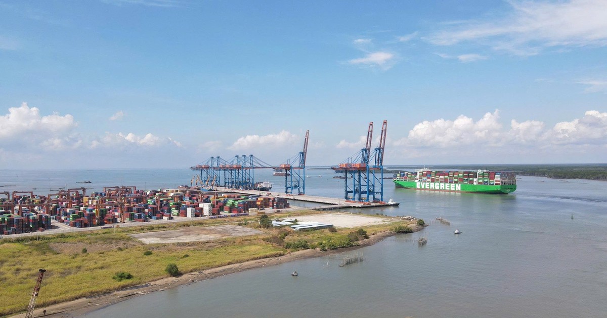 Khu Thương Mại Tự Do - Động Lực Mới Cho TP.HCM: Thời Cơ Vàng Đã Đến hình ảnh 8